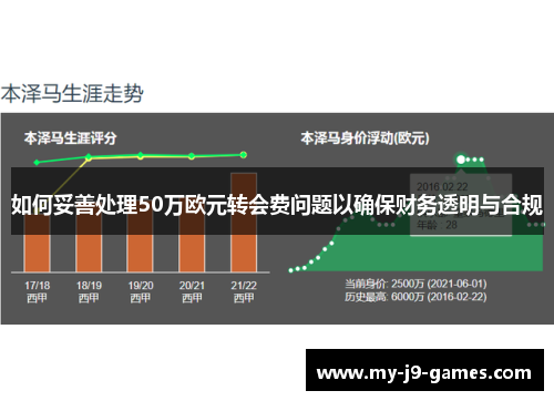 如何妥善处理50万欧元转会费问题以确保财务透明与合规 如何妥善处理50万欧元转会费问题以确保财务透明与合规