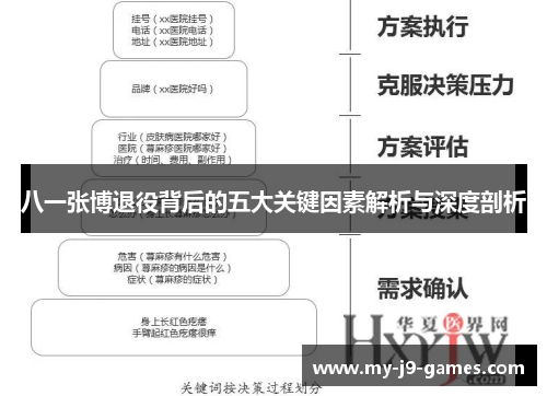 八一张博退役背后的五大关键因素解析与深度剖析