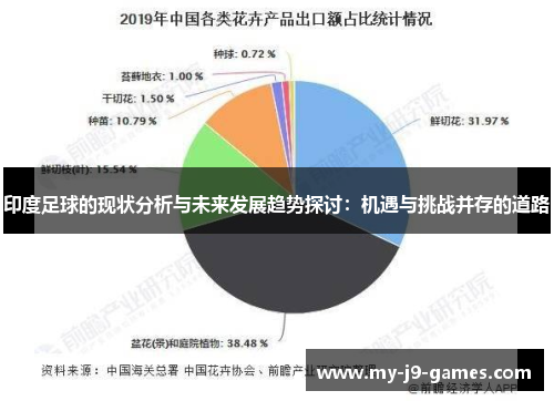 印度足球的现状分析与未来发展趋势探讨:机遇与挑战并存的道路 印度足球的现状分析与未来发展趋势探讨:机遇与挑战并存的道路