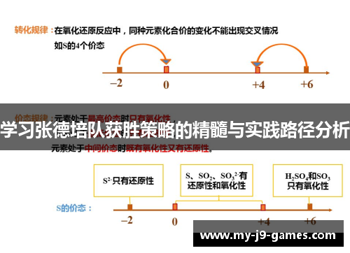 学习张德培队获胜策略的精髓与实践路径分析 学习张德培队获胜策略的精髓与实践路径分析