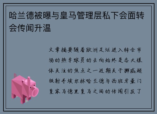 哈兰德被曝与皇马管理层私下会面转会传闻升温